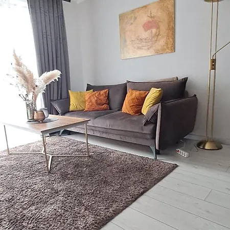 Apartament-sweet Night 公寓