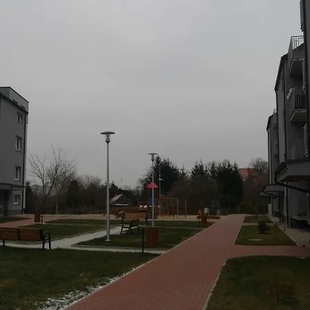 Apartament-sweet Night